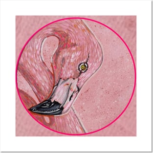 Flamingo by Kris Morse Posters and Art